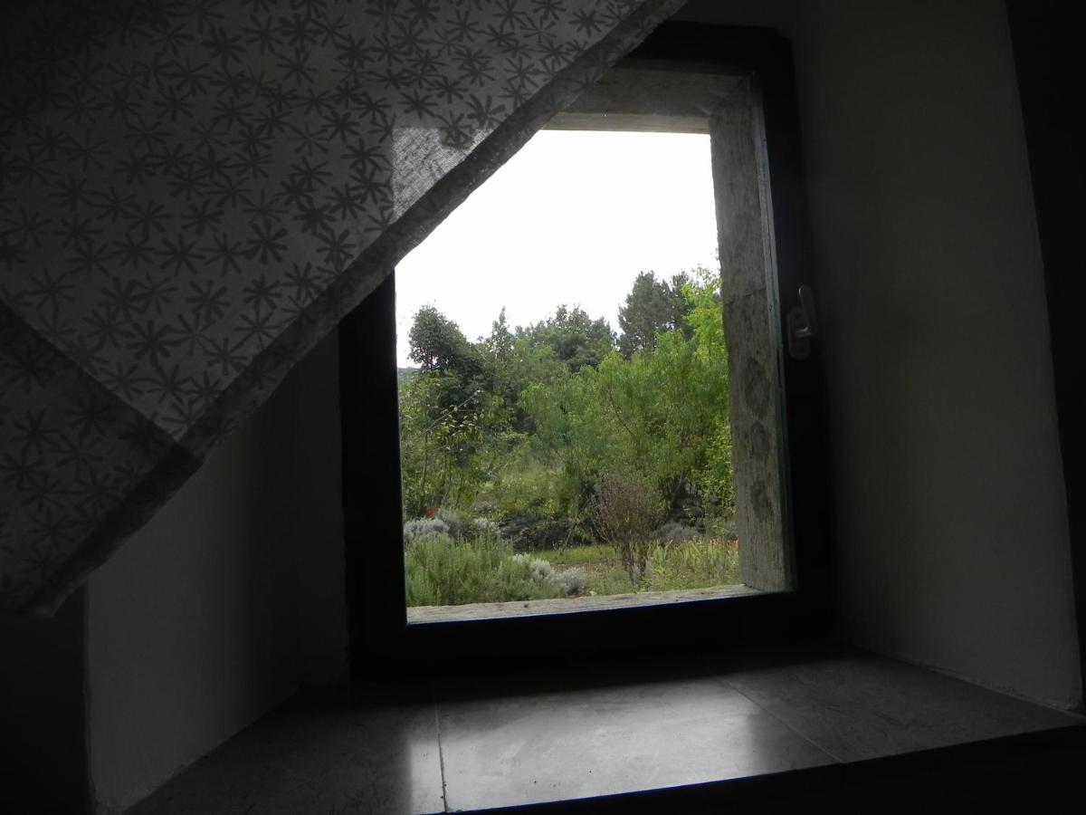Apartmaji Hedera Komen Extérieur photo