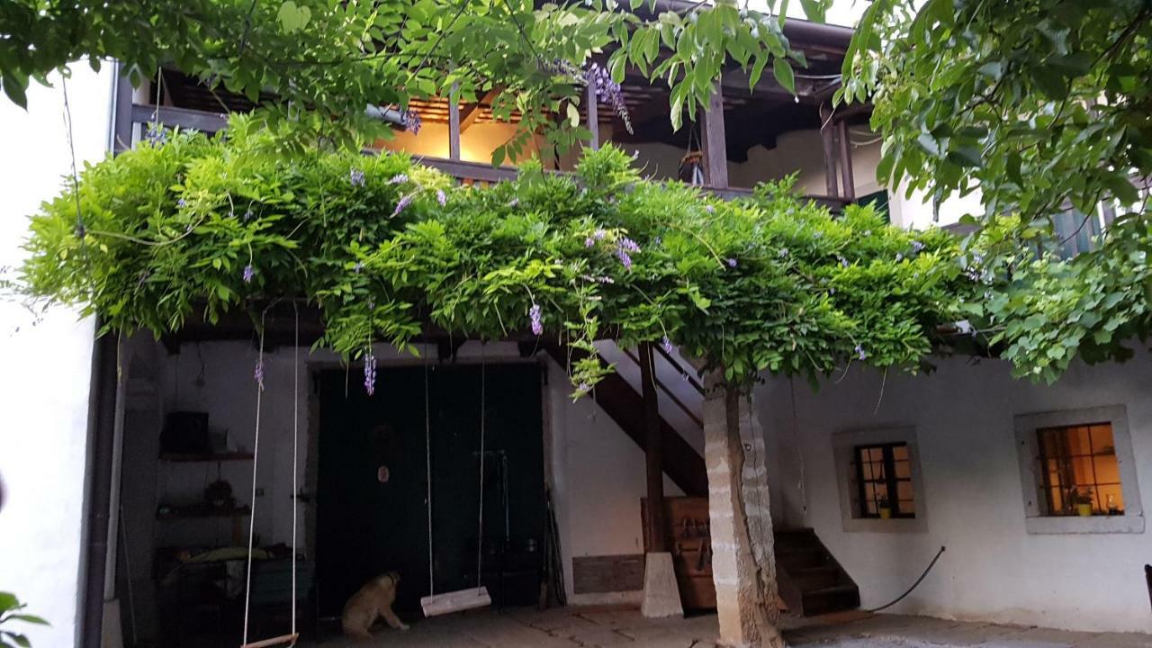 Apartmaji Hedera Komen Extérieur photo